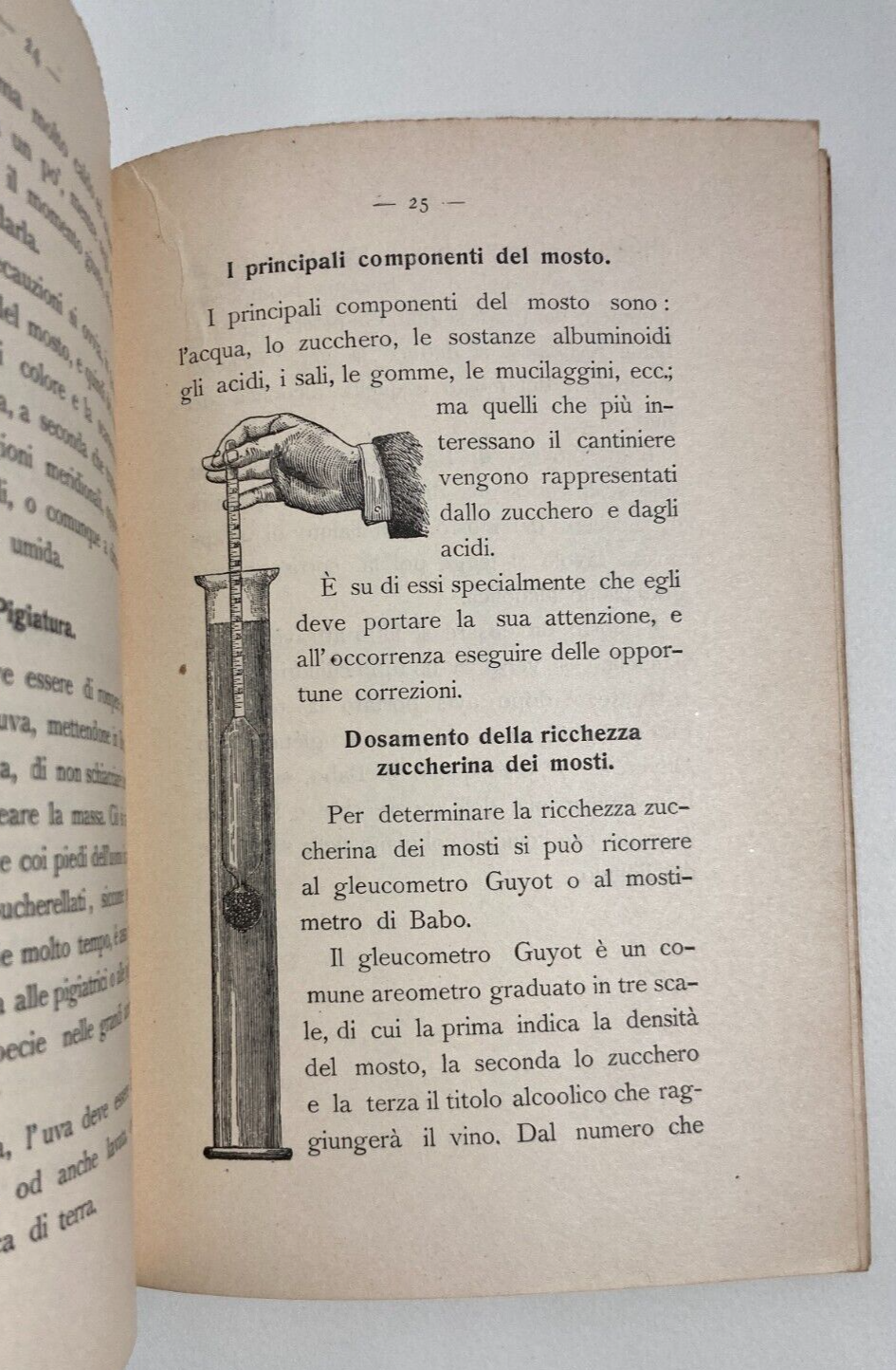 Agraria, Enologia, Vino, Spumante, Aceto: Manuale Del Cantiniere   Consolani