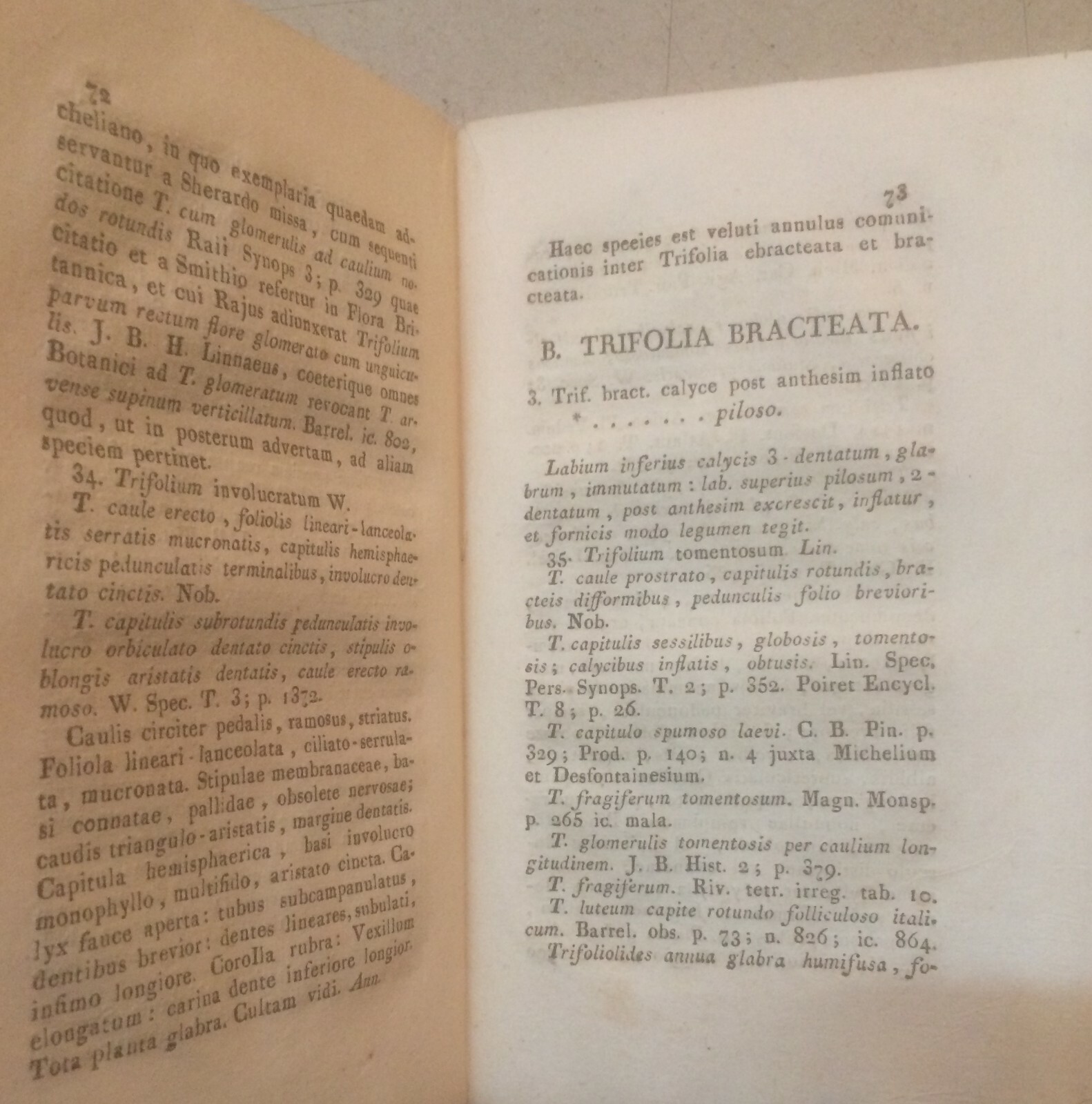 Storia Naturale: Botanica, Trifoglio, Toscana, Pisa. Antica Edizione Originale, 1810
