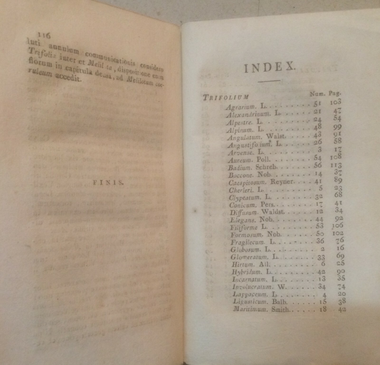 Storia Naturale: Botanica, Trifoglio, Toscana, Pisa. Antica Edizione Originale, 1810
