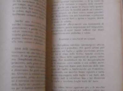 Agraria, Orto, Ortaggi, Frutta: Calendario Per La Coltivazione   Vagliasindi, 1944