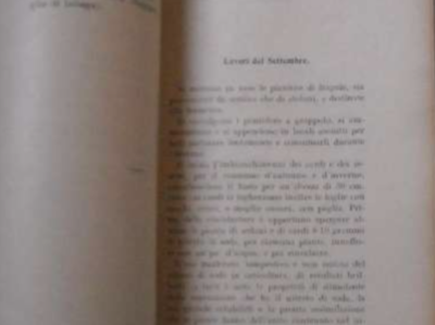 Agraria, Orto, Ortaggi, Frutta: Calendario Per La Coltivazione   Vagliasindi, 1944