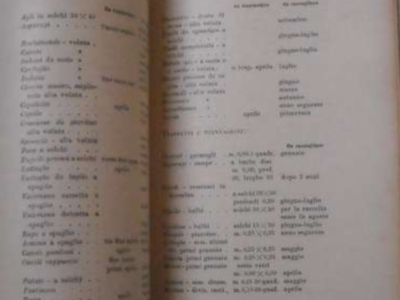 Agraria, Orto, Ortaggi, Frutta: Calendario Per La Coltivazione   Vagliasindi, 1944