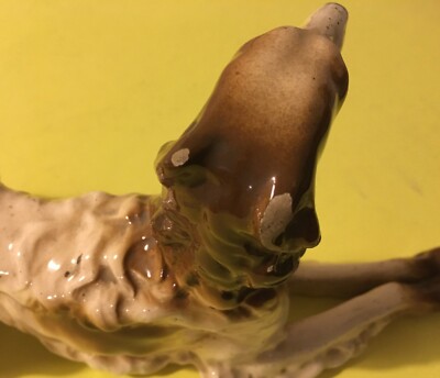Cinofilia, Cane, Scultura In Ceramica Decorativa, Siglata, XX Secolo