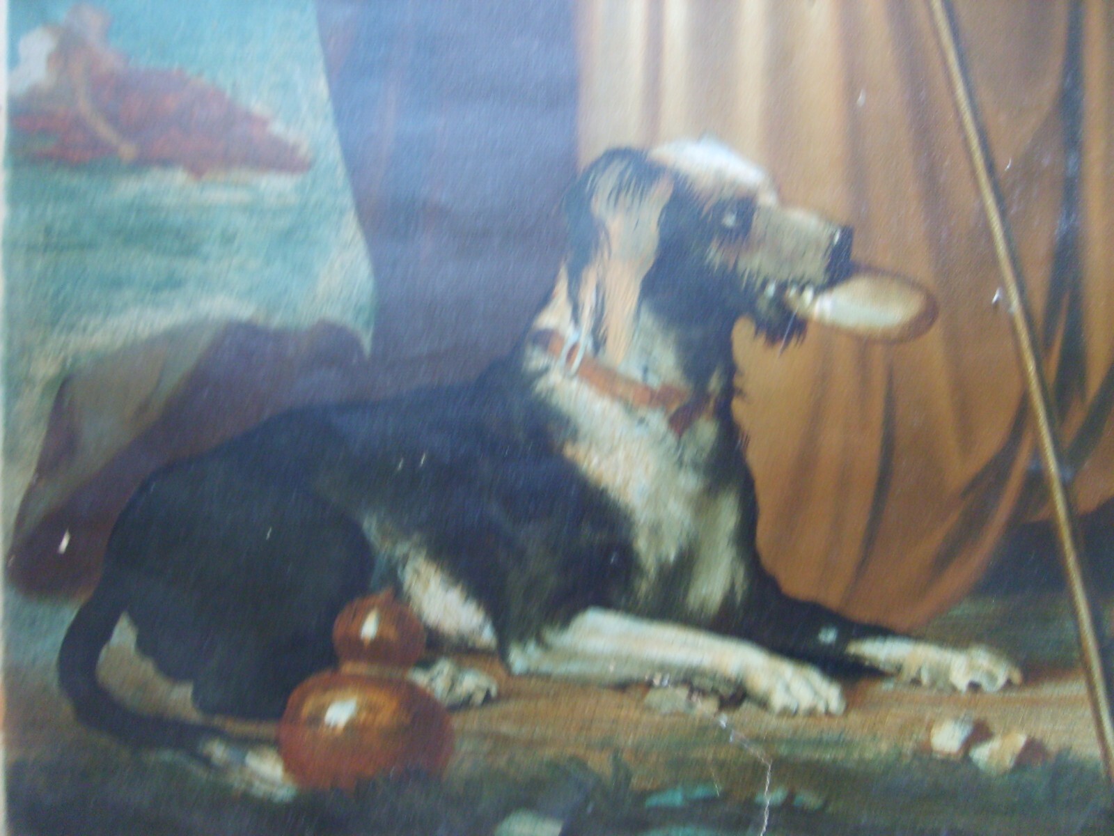 Arte Popolare Devozionale: Grande Stampa A Colori Di San Rocco E Il Cane