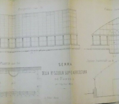 Storia Naturale, Botanica, Napoli, Serra Di Portici, Milone, Con Tavola Illustrativa