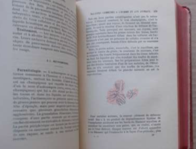 Medicina: Patologie Interne, Tifo, Intossicazioni, Infezioni, Sifilide, Colera, Diabete