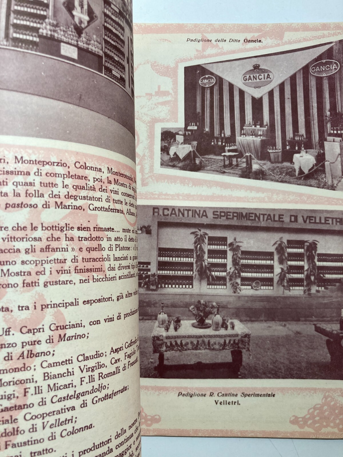 Enologia, Vino, Uve E Cantine Vinicole: Florio, Cinzano, Orvieto, Chianti, Zara, Istria