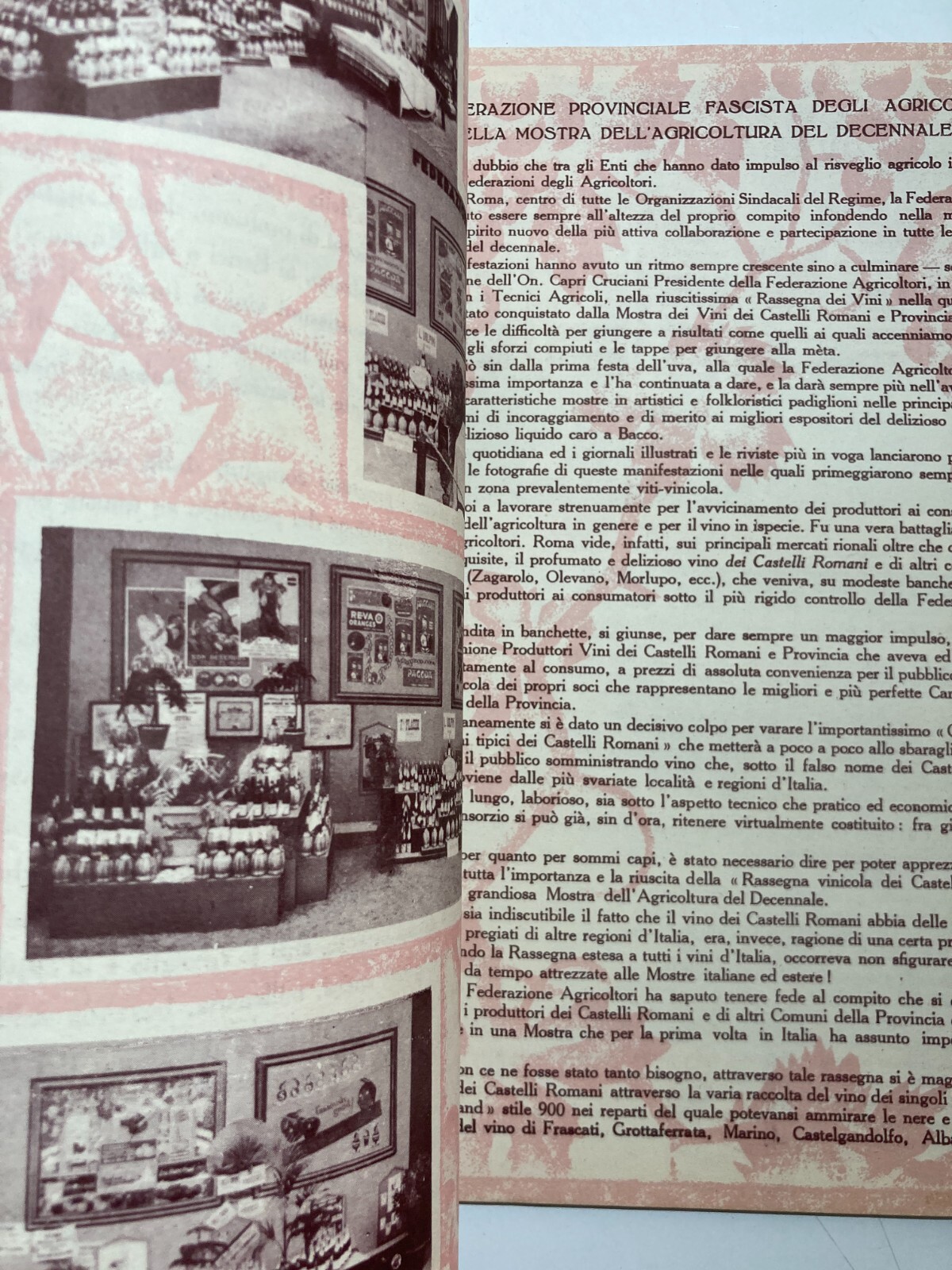 Enologia, Vino, Uve E Cantine Vinicole: Florio, Cinzano, Orvieto, Chianti, Zara, Istria