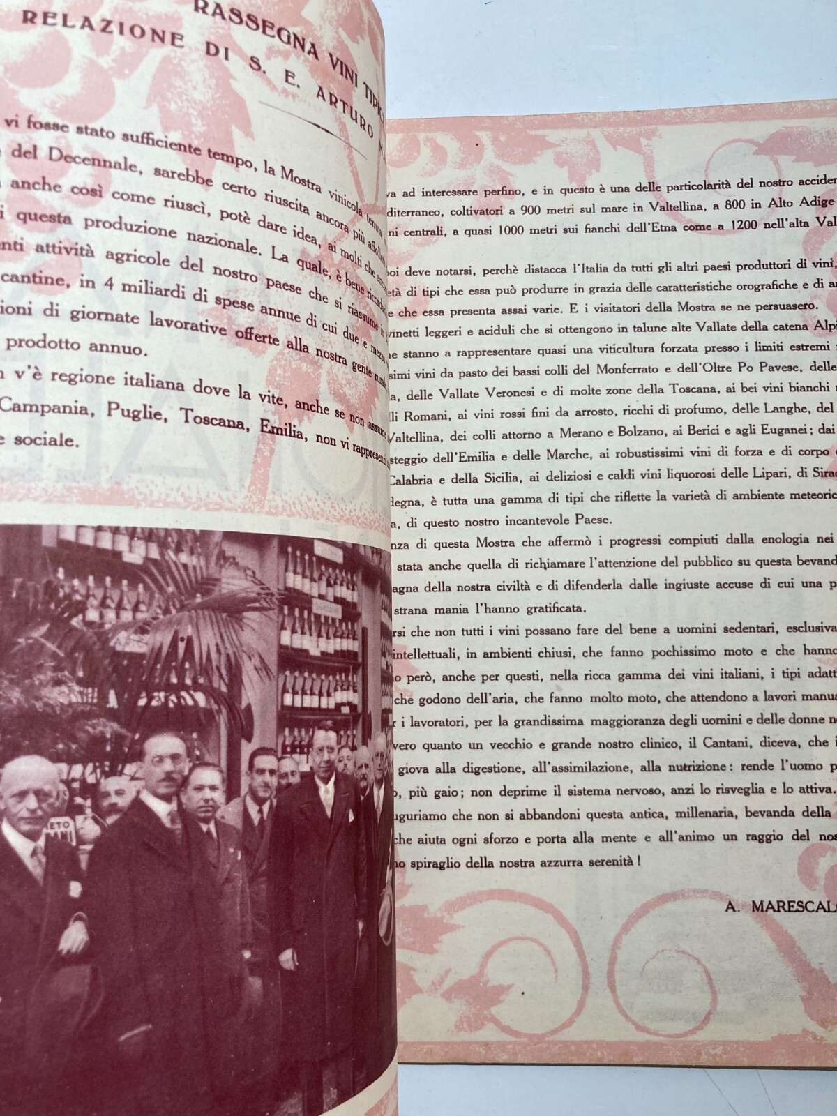Enologia, Vino, Uve E Cantine Vinicole: Florio, Cinzano, Orvieto, Chianti, Zara, Istria