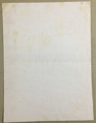 Storia Del Papato: Pontefice Pio IX. Antico Ritratto, Litografia Rigo, Stampa Dell'Ottocento
