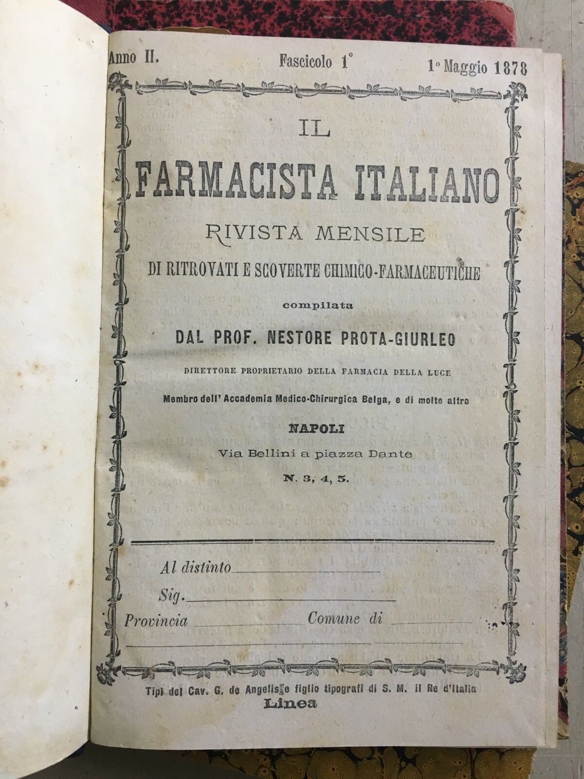 Medicina, Farmacia E Chimica: Rivista Il Farmacista Italiano Di Prota Giurleo, Napoli, 1878 1880
