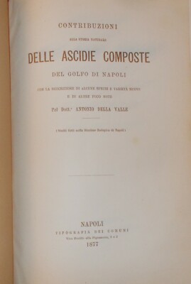 Storia Naturale   Zoologia: Ascidie Composte Del Golfo Di Napoli   Della Valle, 1877
