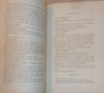 Storia Naturale   Zoologia: Ascidie Composte Del Golfo Di Napoli   Della Valle, 1877