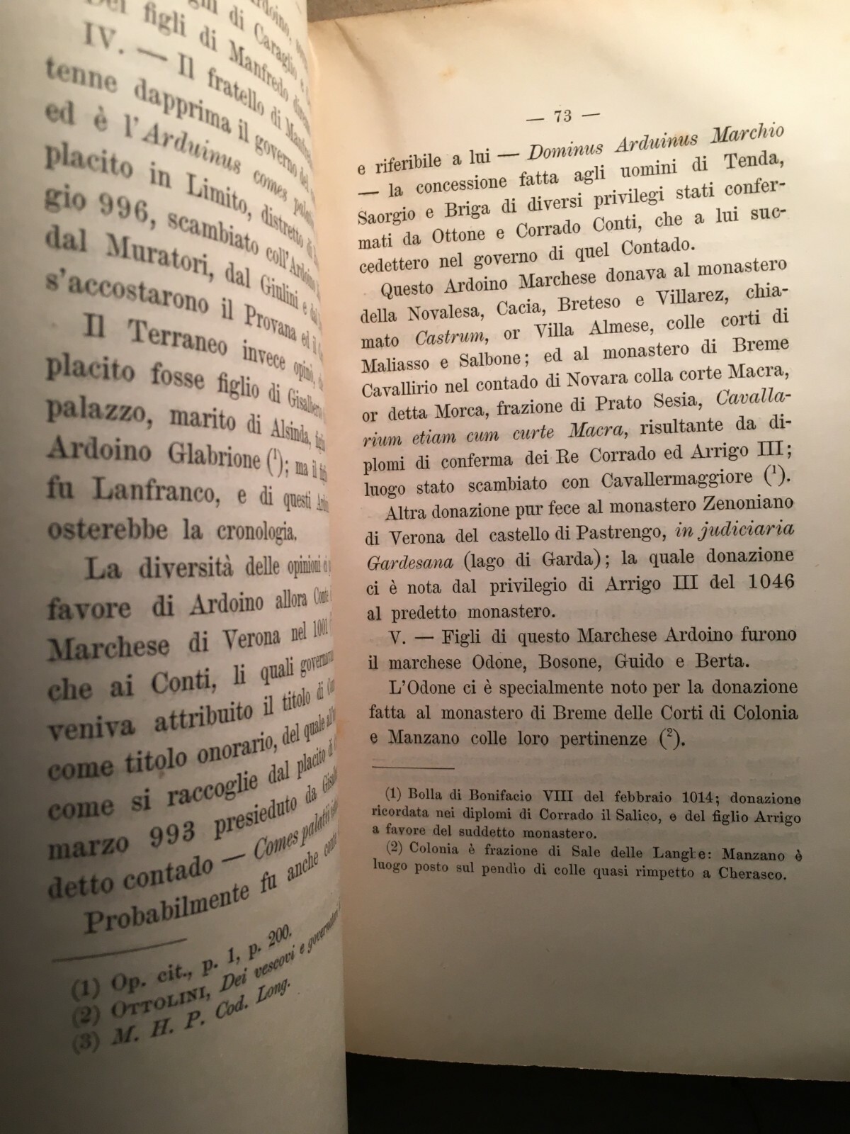 I Reali d'Italia, Savoia, Torino, Pavia, Ardoino, Berengario: Araldica E Genealogia