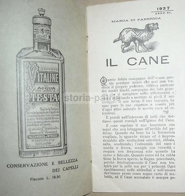 Medicina, Farmacia, Farmaceutica E Veterinaria (cani E Cavalli): Valcamonica Regoliosi, 1937