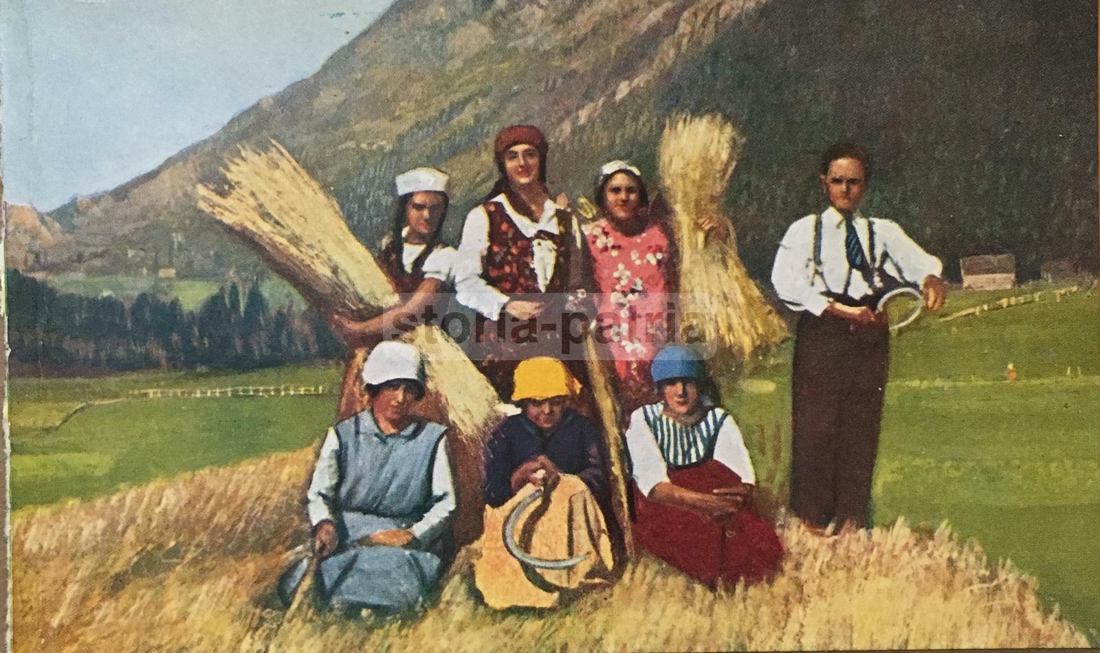 Trentino, Moena, Festa Del Pane, Grano, Mietitura, Folklore, Cartolina A Colori, 1930