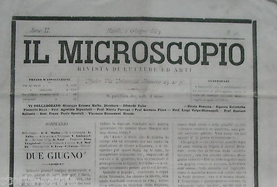Napoli, Antico Raro Giornale Letterario Artistico: Il Microscopio. Maffia, Valio, 1883