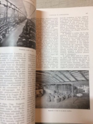 L'Italia Agricola: Numero Speciale Dedicato Alla Pecora (giugno 1930)