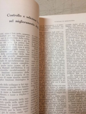 L'Italia Agricola: Numero Speciale Dedicato Alla Pecora (giugno 1930)