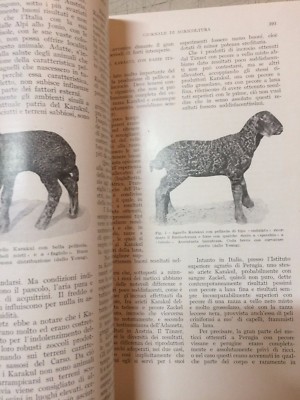 L'Italia Agricola: Numero Speciale Dedicato Alla Pecora (giugno 1930)