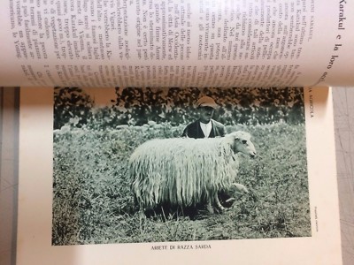 L'Italia Agricola: Numero Speciale Dedicato Alla Pecora (giugno 1930)