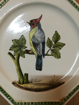 Zoologia, Ornitologia, Uccelli: Piatto In Ceramica Bassano