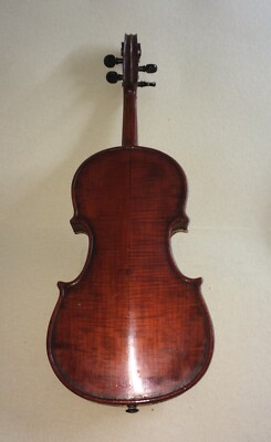 Musica, Teatro, Musicisti, Strumenti Musicali Violino Da Collezione (Catania, Sicilia)
