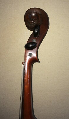 Musica, Teatro, Musicisti, Strumenti Musicali Violino Da Collezione (Catania, Sicilia)