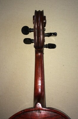 Musica, Teatro, Musicisti, Strumenti Musicali Violino Da Collezione (Catania, Sicilia)