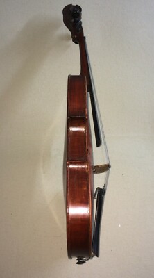 Musica, Teatro, Musicisti, Strumenti Musicali Violino Da Collezione (Catania, Sicilia)