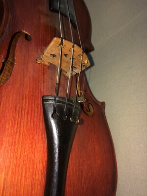 Musica, Teatro, Musicisti, Strumenti Musicali Violino Da Collezione (Catania, Sicilia)