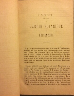 Botanica: Isola Di Java, Buitenzorg, Rapporto Sul Giardino Botanico, 1879