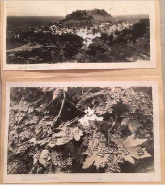 Grecia: Isola Di Rodi. Raccolta Fotografica Di Foto Cartoline d'Epoca
