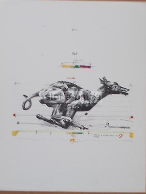 Vladimir Velickovic, Animals In Motion. Dog N. 9. Grafica Bolaffi Arte