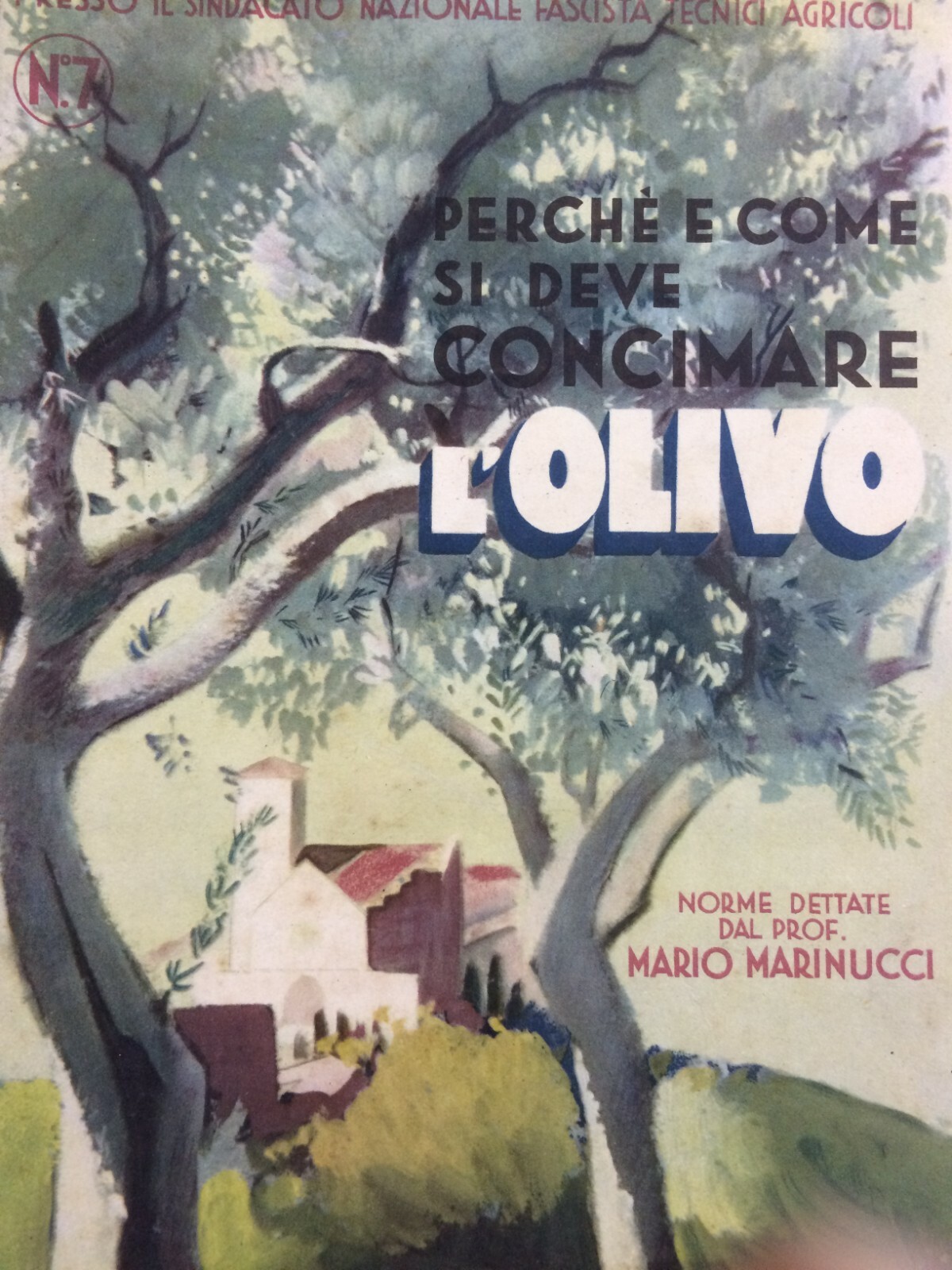 Olivicoltura: Perché E Come Si Deve Concimare L'Olivo (Marinucci, 1933)