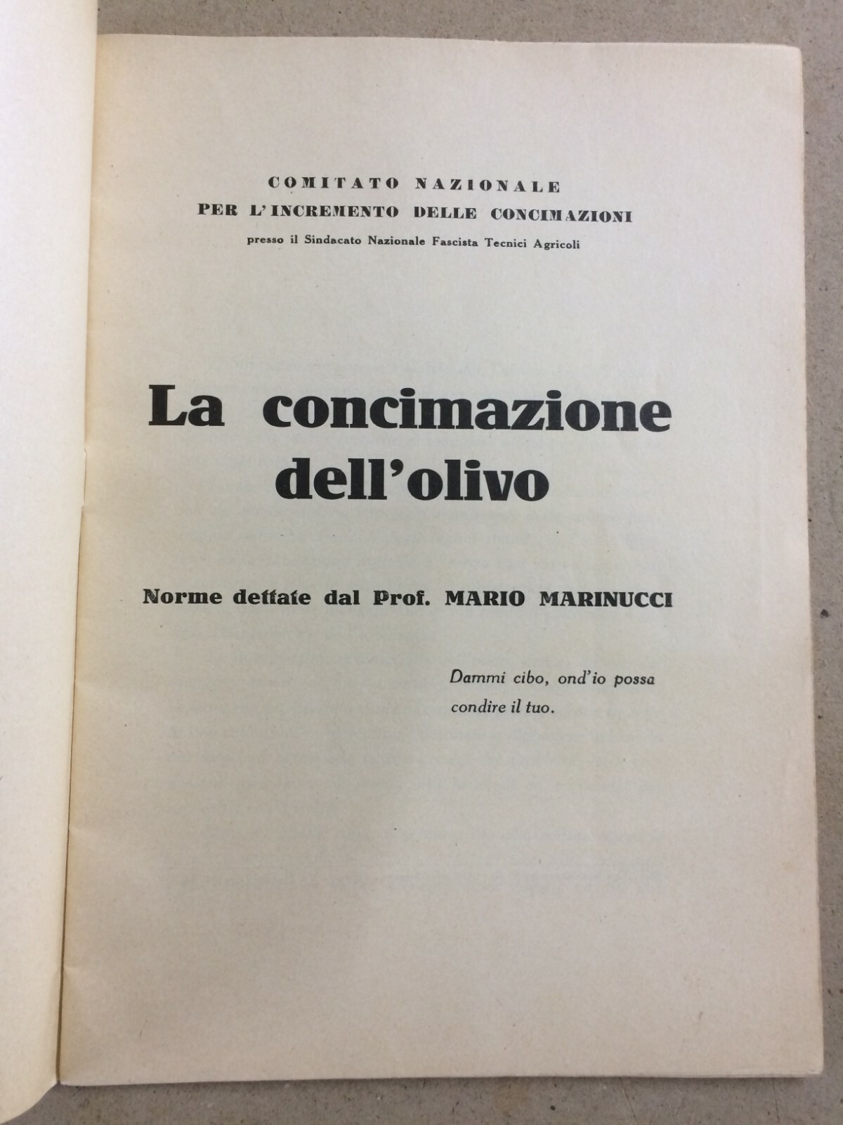 Olivicoltura: Perché E Come Si Deve Concimare L'Olivo (Marinucci, 1933)