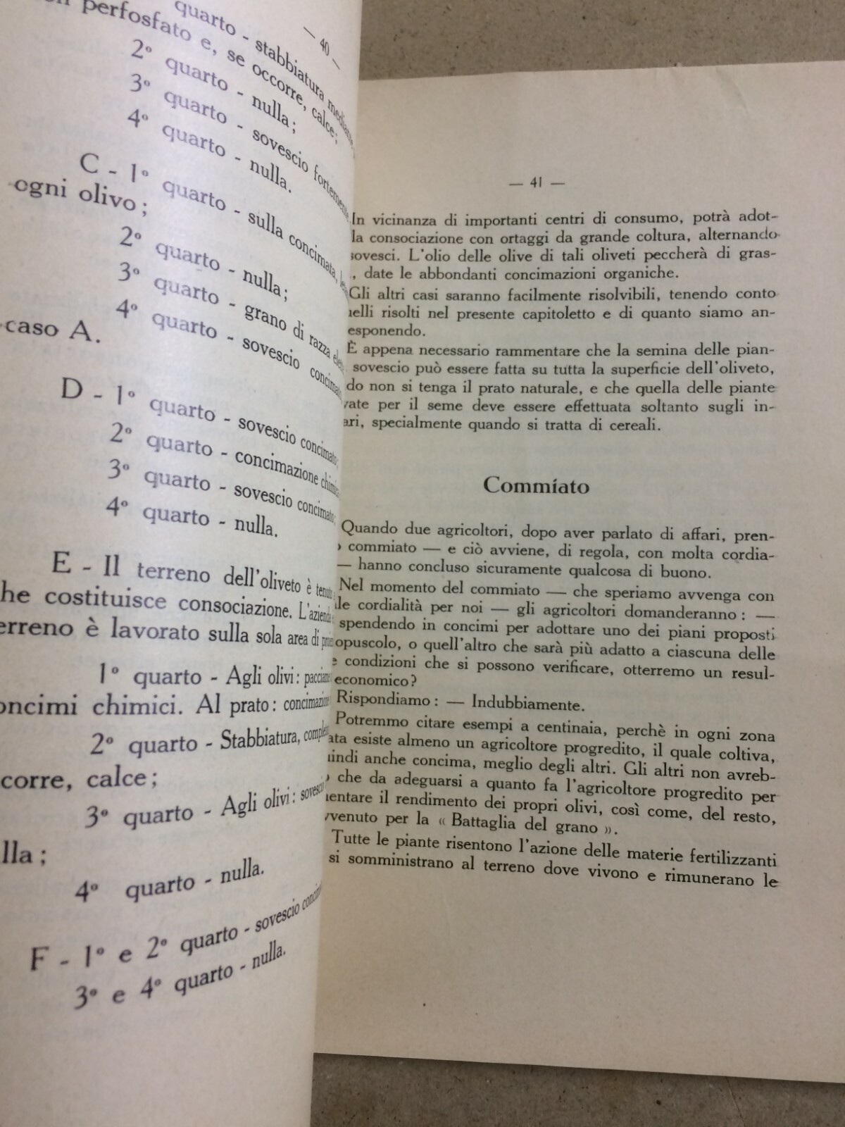 Olivicoltura: Perché E Come Si Deve Concimare L'Olivo (Marinucci, 1933)