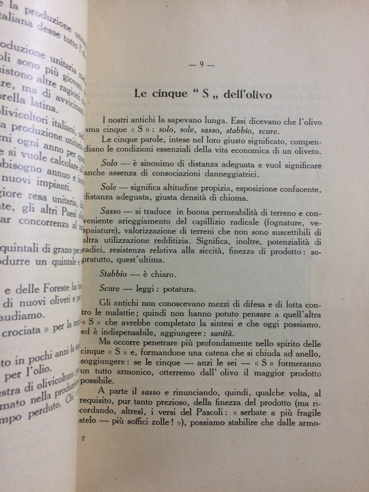 Olivicoltura: Perché E Come Si Deve Concimare L'Olivo (Marinucci, 1933)