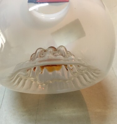 Coppa Per Lampada Decorativa In Vetro Con Introflessioni