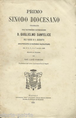 Guglielmo Sanfelice, Primo Sinodo Diocesano, Napoli, 1883