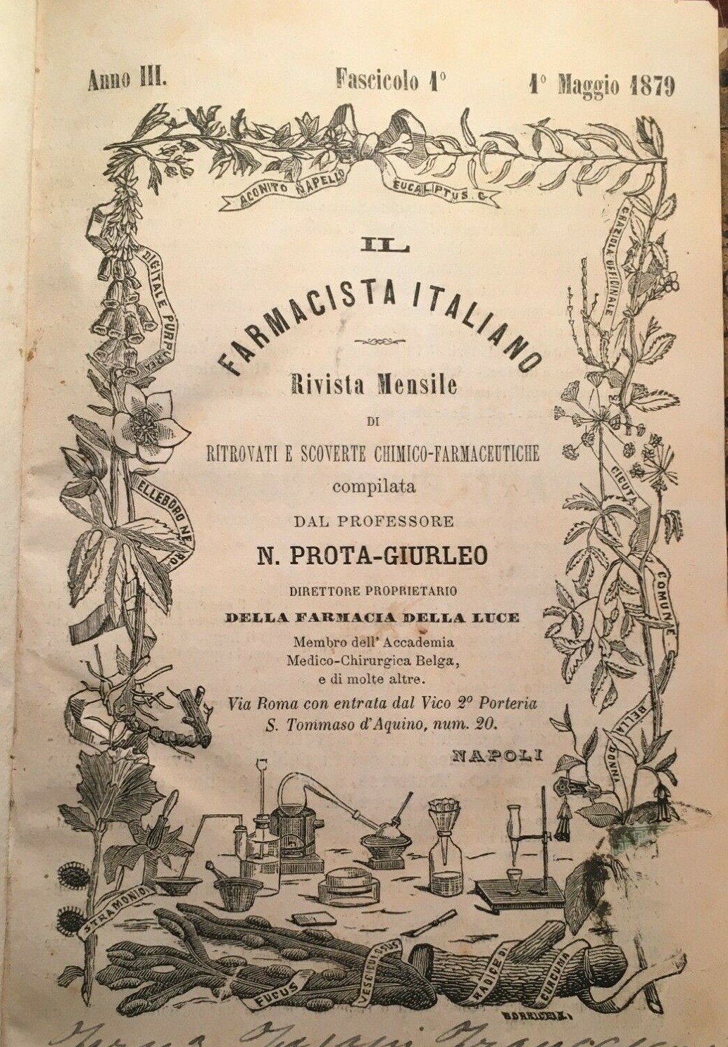Medicina, Farmacia E Chimica: Rivista Il Farmacista Italiano Di Prota Giurleo, Napoli, 1878 1880