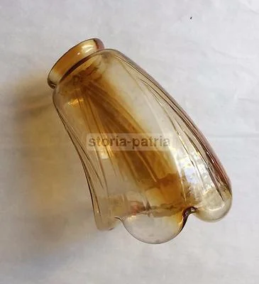 Collectible Glass: Glass Lamp Globe with Shaded Floral Decoration