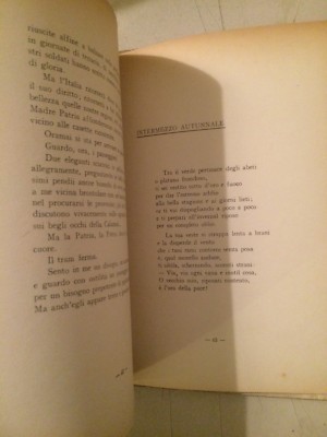 Ida Butti Porto, Pagine Sparse (Como, Trentino, Commedia Per Bambini), 1947