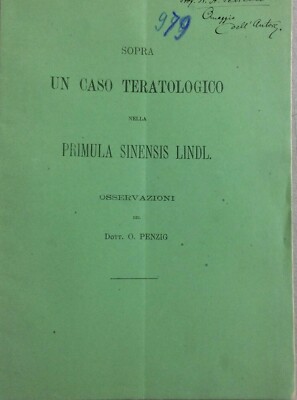 Scienze Naturali: Botanica. Primula Sinensis Lindl. Penzig. Con Due Tavole. Veneto.