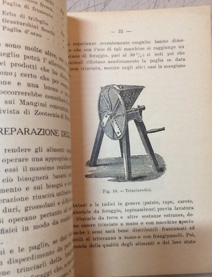 Vacche Da Latte: Scelta E Allevamento (Vincenzo Barducci, 1928)