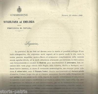 Viticoltura, Enologia, Novara, Pesaro, Miniere Albani, 1900