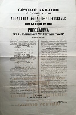 Marche, Ancona, Jesi, Senigallia. Zootecnia: Premiazione Mucche E Tori, 1871