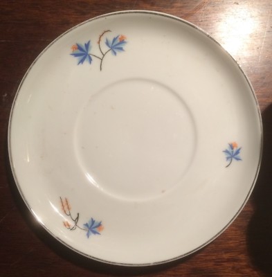 Porcellana Decorativa Verbano Laveno: Tazza Con Piattino Da Caffè