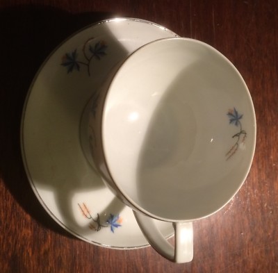 Porcellana Decorativa Verbano Laveno: Tazza Con Piattino Da Caffè