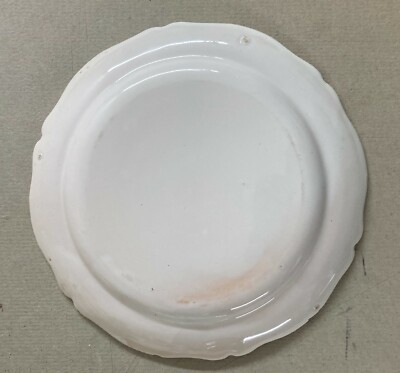 Ceramiche Da Collezione   Decori Floreali Policromi   Piatto Decorativo   Castelli
